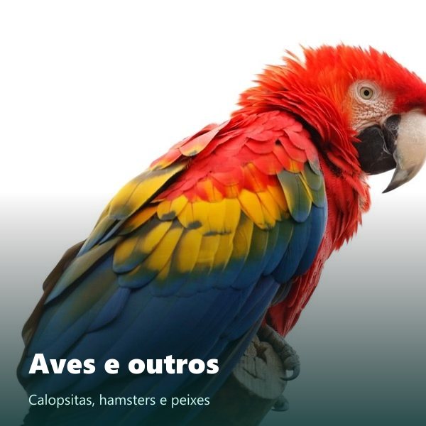 Aves e outros pets