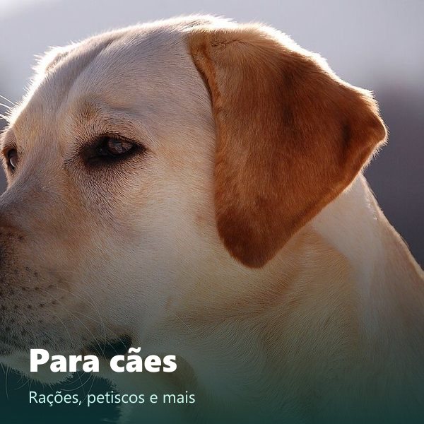 Para cães