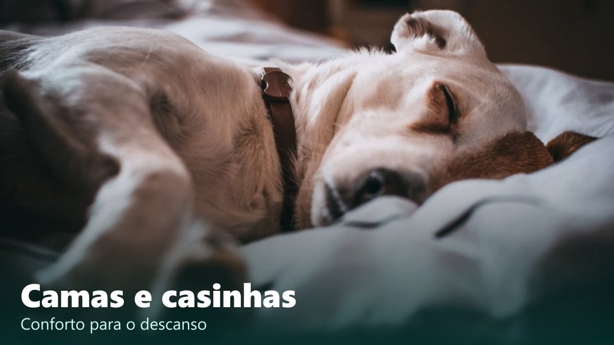 Camas e casinhas